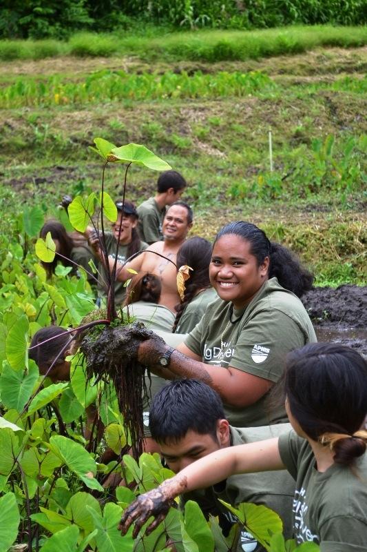 Volunteers, including a smiling woman, work together in a lush field, planting and tending to young plants, showcasing community engagement in environmental efforts.