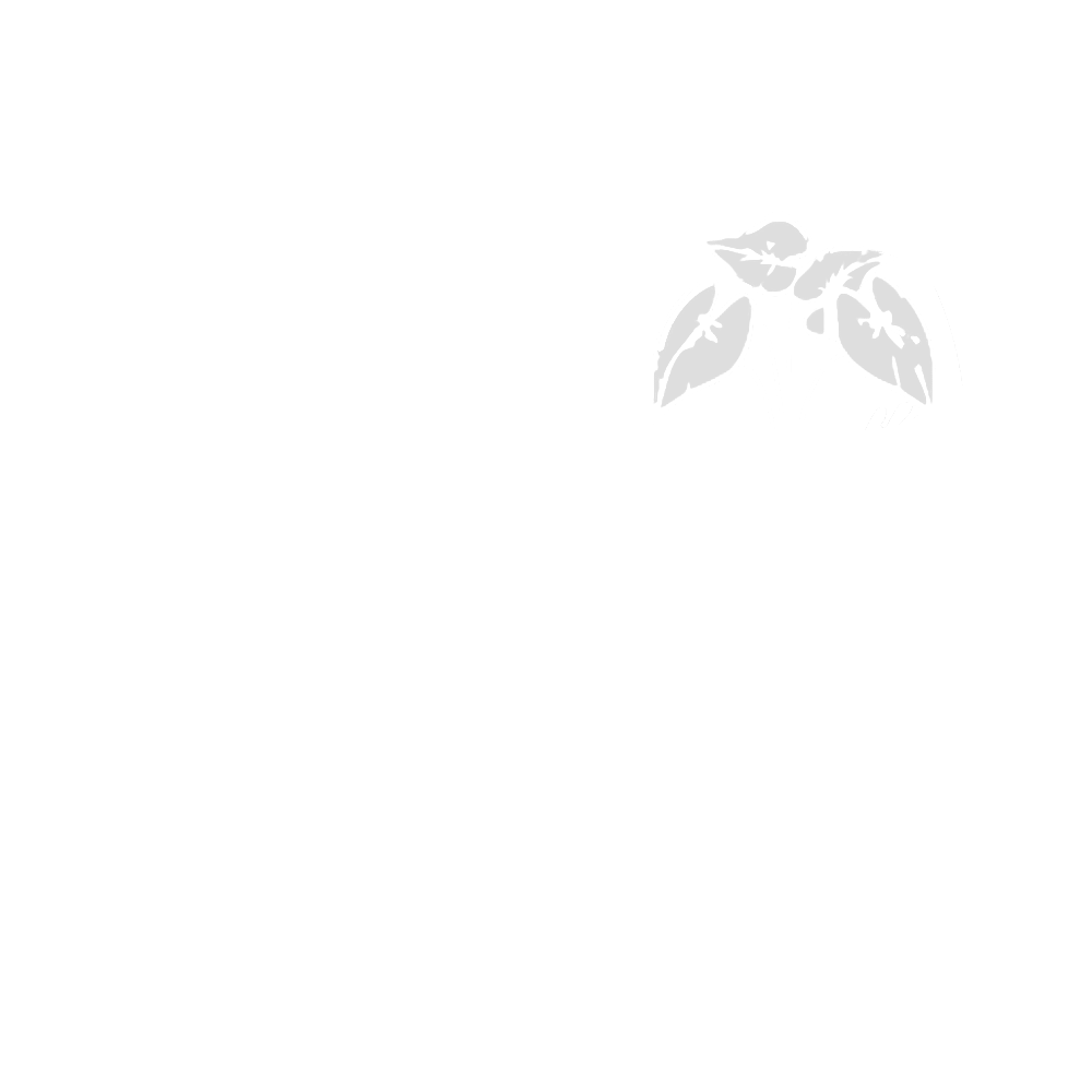 Mālama Kaʻū Foundation