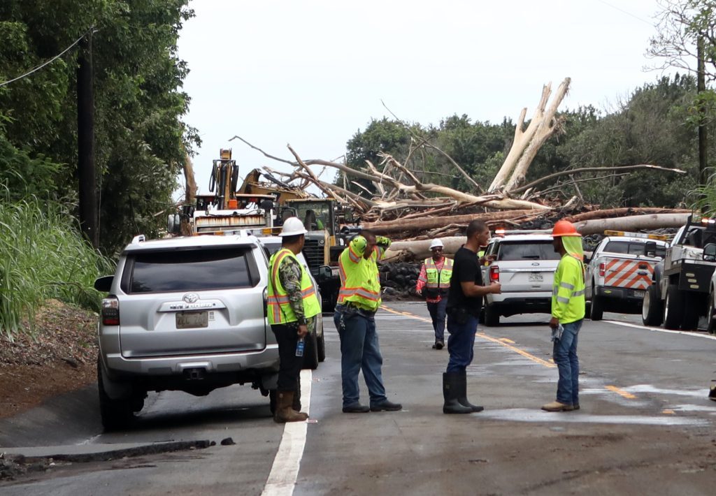 Road crews and heavy equipment clear fallen trees from the highway in Kaʻū after Hurricane Lala.